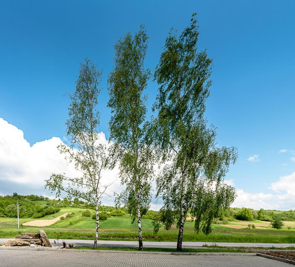 Agrohotel Tri Brezy Hrustin Zewnętrze zdjęcie